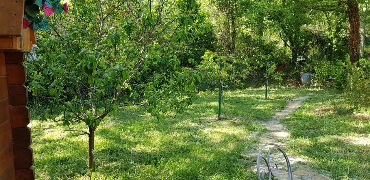 Villa Eden Vert ฟายองซ์ ภายนอก รูปภาพ